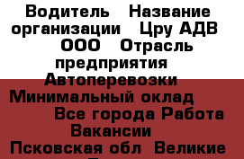 Водитель › Название организации ­ Цру АДВ777, ООО › Отрасль предприятия ­ Автоперевозки › Минимальный оклад ­ 110 000 - Все города Работа » Вакансии   . Псковская обл.,Великие Луки г.